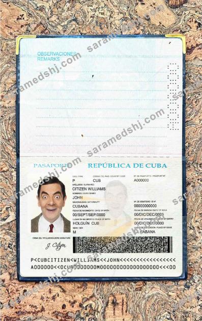 Cuba passport photo look